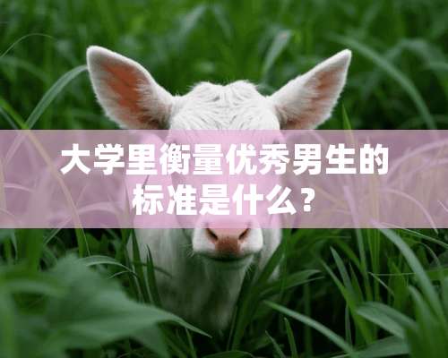 大学里衡量优秀男生的标准是什么？