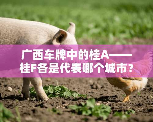 广西车牌中的桂A——桂F各是代表哪个城市？