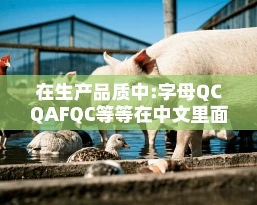 在生产品质中:字母QCQAFQC等等在中文里面是怎样的含意？