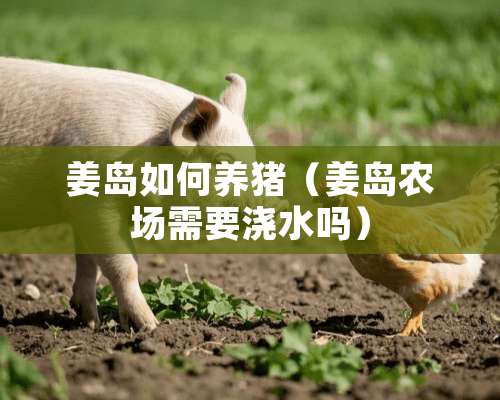 姜岛如何养猪（姜岛农场需要浇水吗）