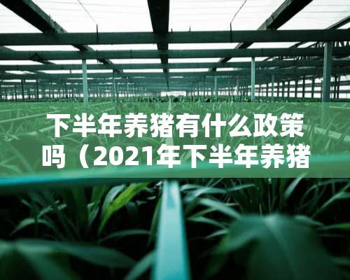 下半年养猪有什么政策吗（2021年下半年养猪怎么样）