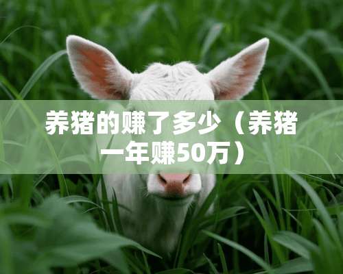 养猪的赚了多少（养猪一年赚50万）