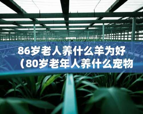 86岁老人养什么羊为好（80岁老年人养什么宠物好）