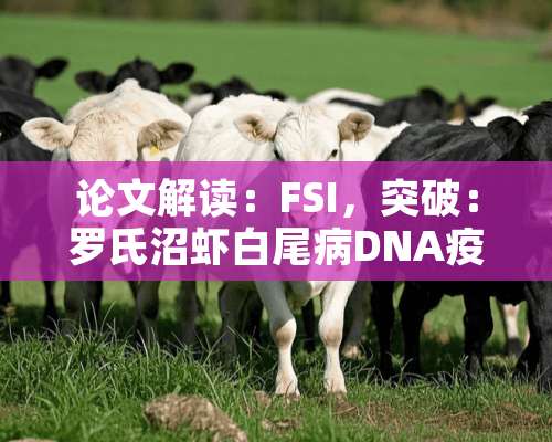 论文解读：FSI，突破：罗氏沼虾白尾病DNA**