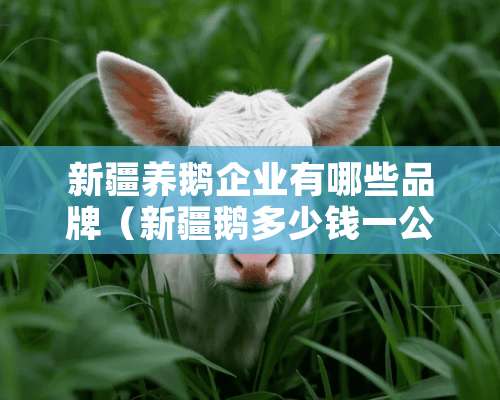 新疆养鹅企业有哪些品牌（新疆鹅多少钱一公斤）