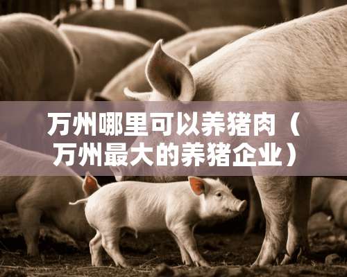 万州哪里可以养猪肉（万州最大的养猪企业）