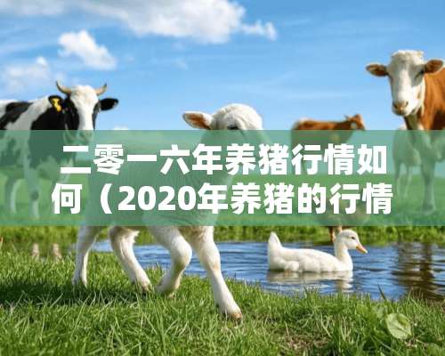 二零一六年养猪行情如何（2020年养猪的行情）