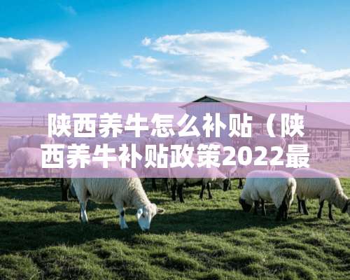 陕西养牛怎么补贴（陕西养牛补贴政策2022最新标准）