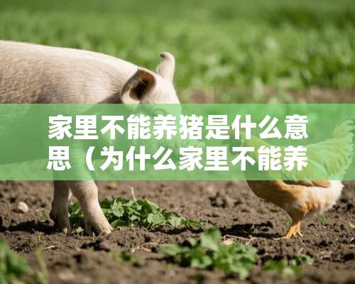 家里不能养猪是什么意思（为什么家里不能养猪）