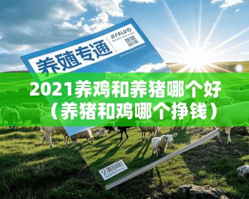 2021养鸡和养猪哪个好（养猪和鸡哪个挣钱）