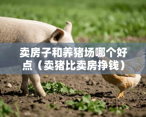 卖房子和养猪场哪个好点（卖猪比卖房挣钱）