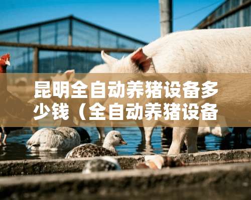 昆明全自动养猪设备多少钱（全自动养猪设备公司）