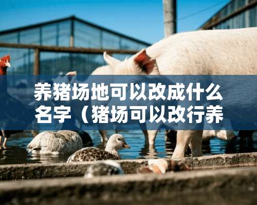 养猪场地可以改成什么名字（猪场可以改行养什么）