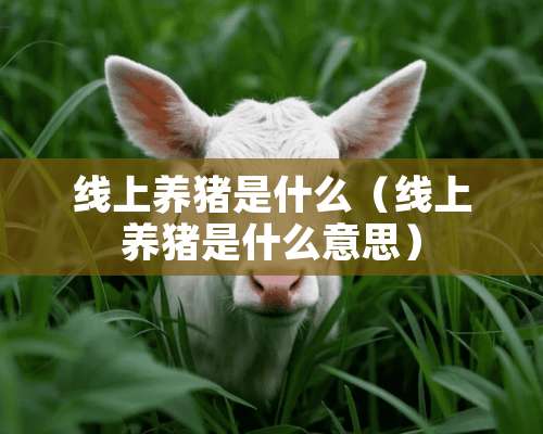 线上养猪是什么（线上养猪是什么意思）