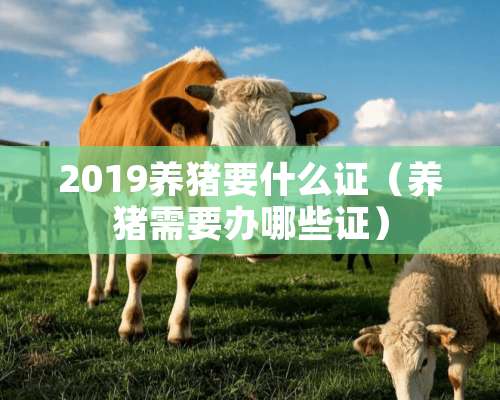 2019养猪要什么证（养猪需要办哪些证）