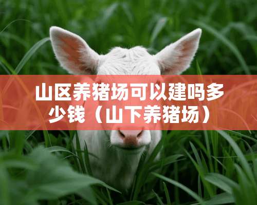 山区养猪场可以建吗多少钱（山下养猪场）