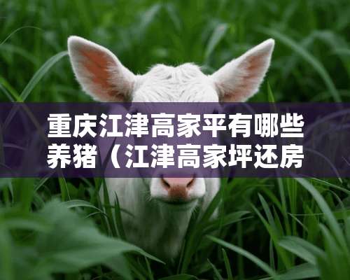 重庆江津高家平有哪些养猪（江津高家坪还房出售）