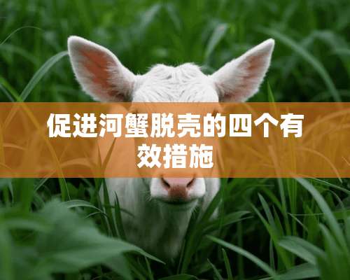 促进河蟹脱壳的四个有效措施