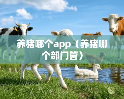 养猪哪个app（养猪哪个部门管）