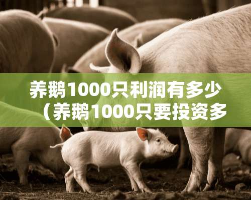 养鹅1000只利润有多少（养鹅1000只要投资多少）