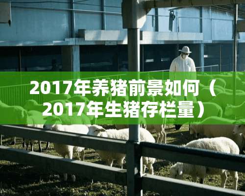 2017年养猪前景如何（2017年生猪存栏量）