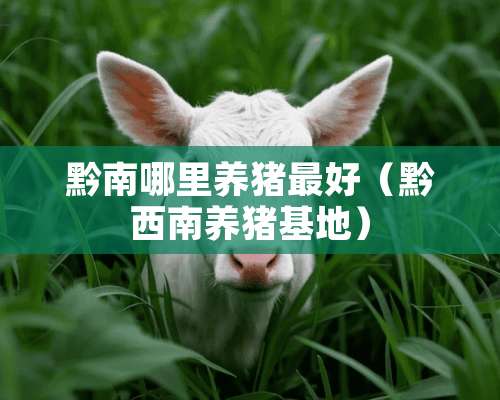 黔南哪里养猪最好（黔西南养猪基地）