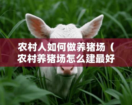 农村人如何做养猪场（农村养猪场怎么建最好）