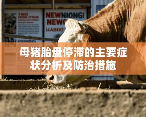 母猪胎盘停滞的主要症状分析及防治措施