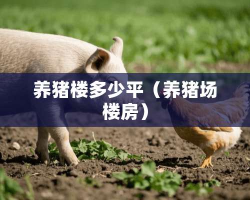 养猪楼多少平（养猪场楼房）