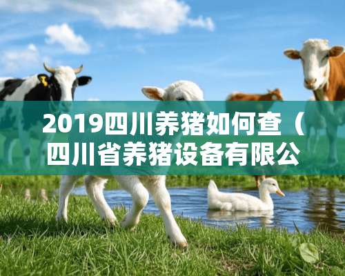 2019四川养猪如何查（四川省养猪设备有限公司）