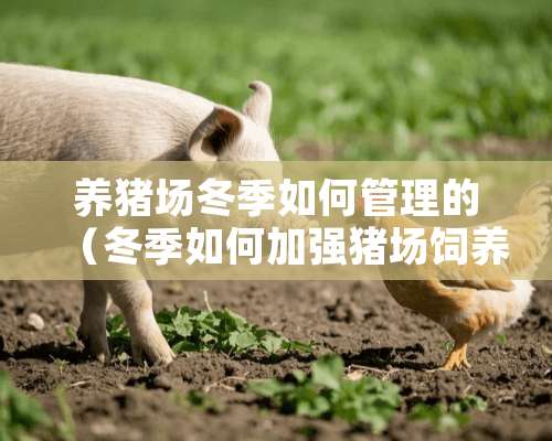 养猪场冬季如何管理的（冬季如何加强猪场饲养管理）