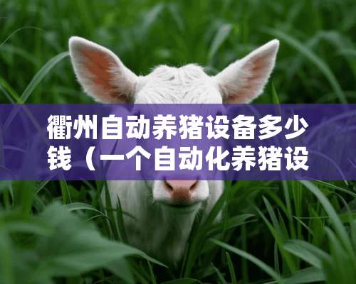 衢州自动养猪设备多少钱（一个自动化养猪设备猪舍价格）