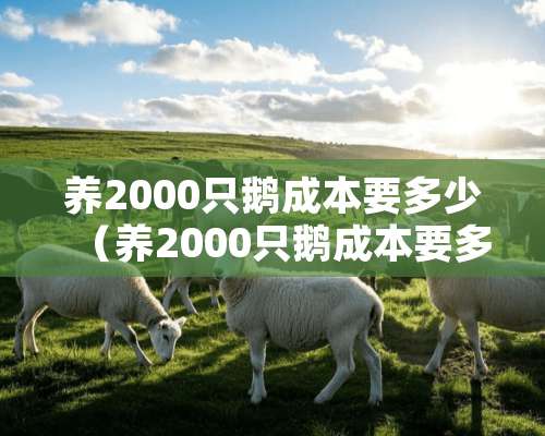 养2000只鹅成本要多少（养2000只鹅成本要多少钱）