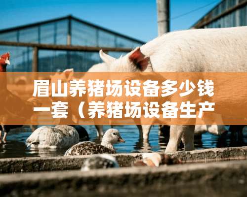 眉山养猪场设备多少钱一套（养猪场设备生产厂家）