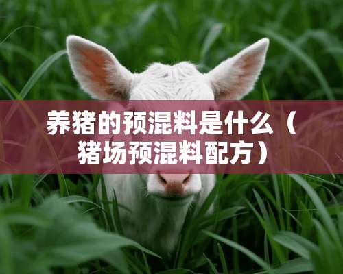 养猪的预混料是什么（猪场预混料配方）