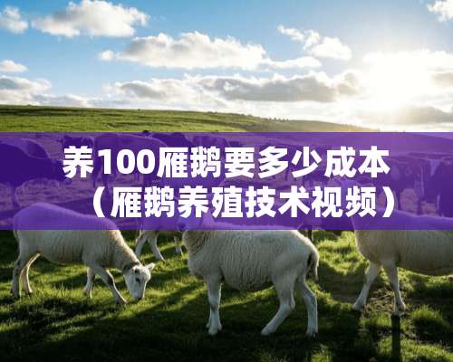 养100雁鹅要多少成本（雁鹅养殖技术视频）