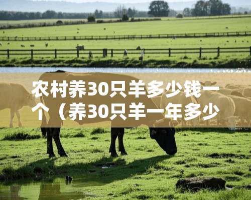 农村养30只羊多少钱一个（养30只羊一年多少利润2019）