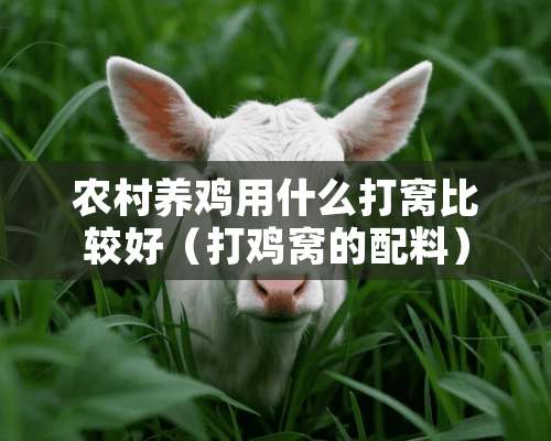 农村养鸡用什么打窝比较好（打鸡窝的配料）