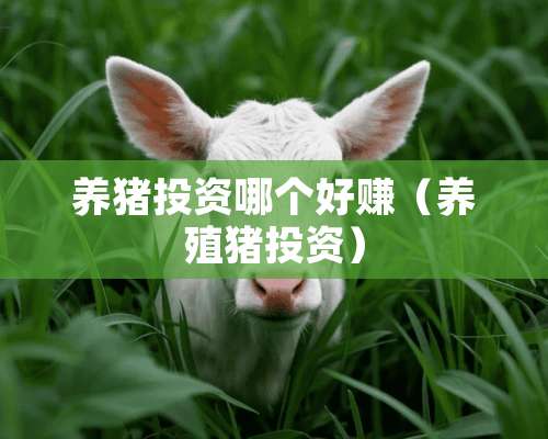 养猪投资哪个好赚（养殖猪投资）