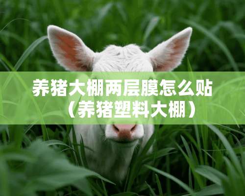 养猪大棚两层膜怎么贴（养猪塑料大棚）