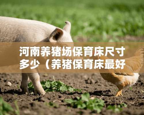 河南养猪场保育床尺寸多少（养猪保育床最好用什么材料）