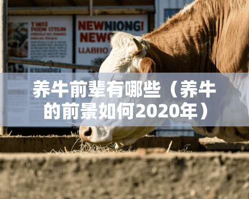 养牛前辈有哪些（养牛的前景如何2020年）