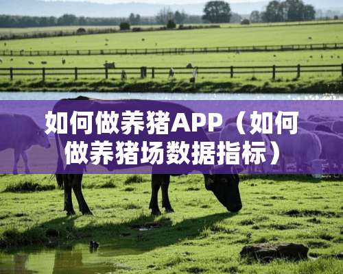 如何做养猪APP（如何做养猪场数据指标）