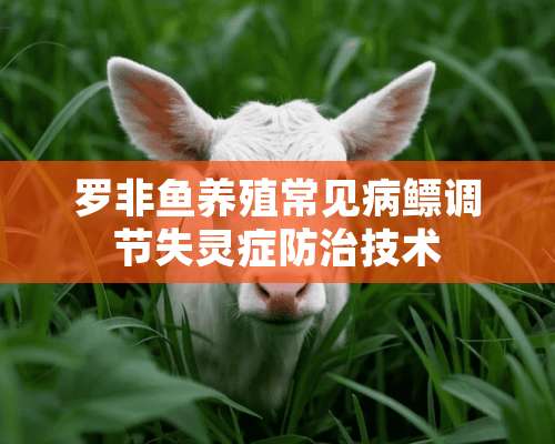 罗非鱼养殖常见病鳔调节失灵症防治技术