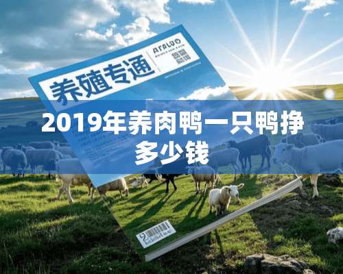 2019年养肉鸭一只鸭挣多少钱