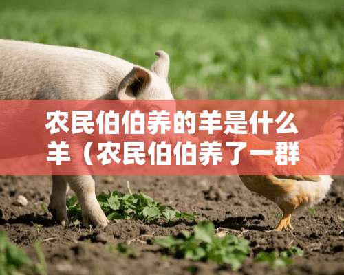 农民伯伯养的羊是什么羊（农民伯伯养了一群羊在草原吃草）