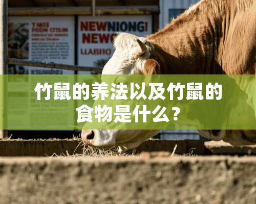 竹鼠的养法以及竹鼠的食物是什么？