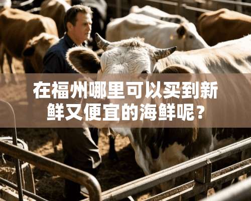 在福州哪里可以买到新鲜又便宜的海鲜呢？