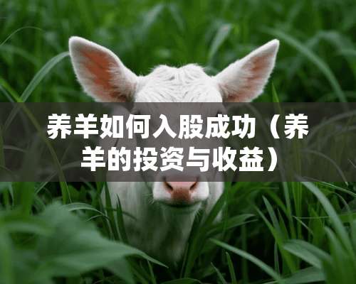 养羊如何入股成功（养羊的投资与收益）