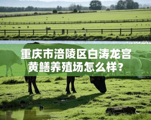 重庆市涪陵区白涛龙宫黄鳝养殖场怎么样？